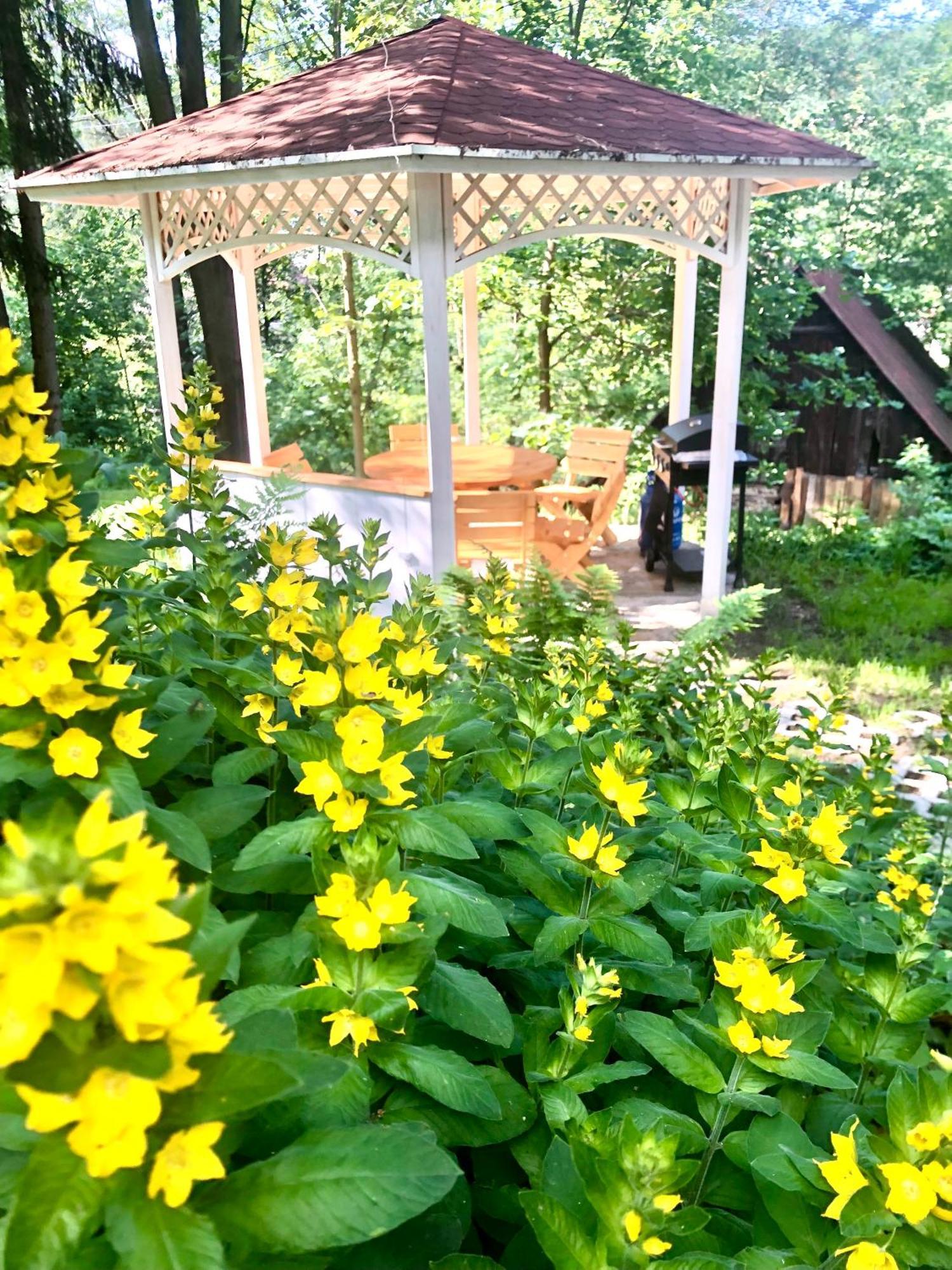 Slow Life Karkonosze Lodge